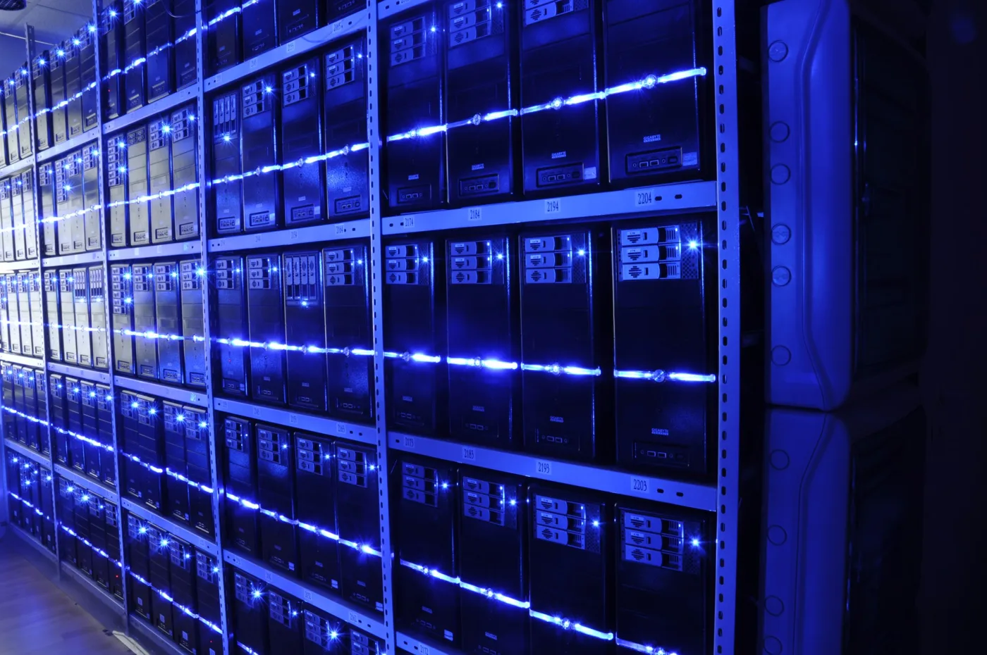 Performance and Stress Testing Services: What to Measure